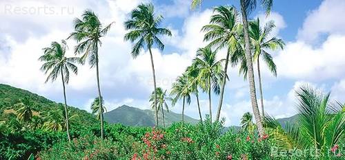 Carlisle Bay 12